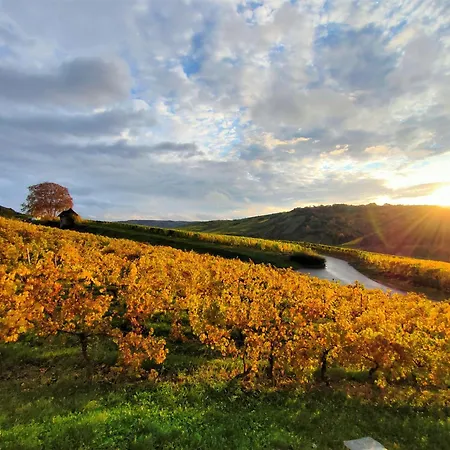 Hébergement de vacances Garden Eden *