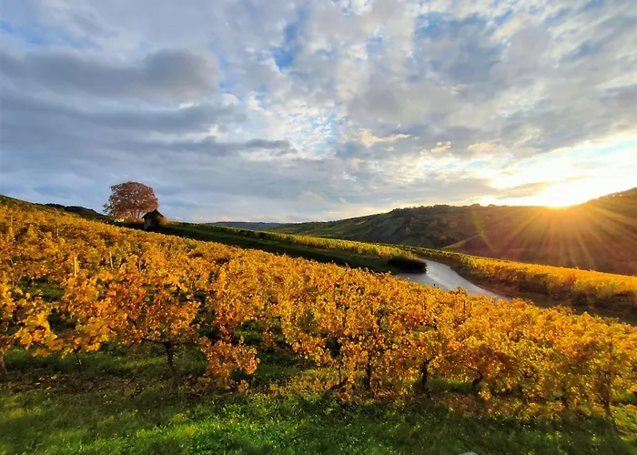 Hébergement de vacances Garden Eden *