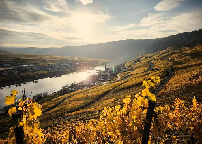 Garden Eden & Sauna * Neumagen-Dhron