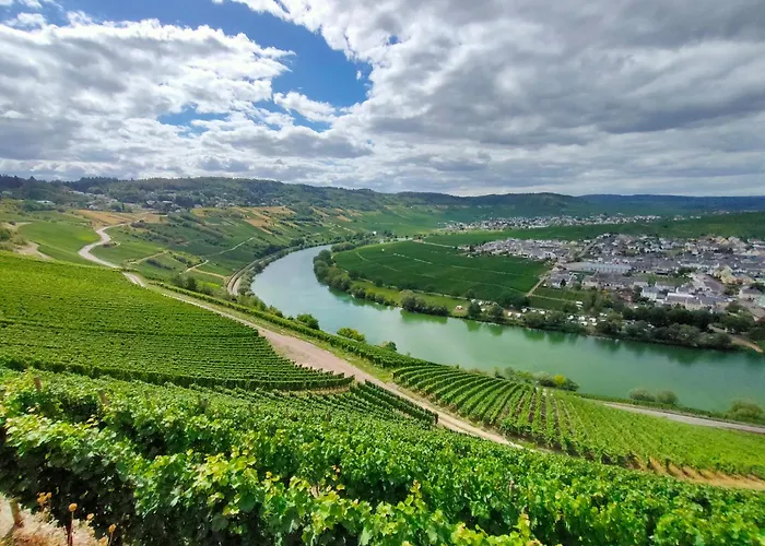 Garden Eden & Sauna Neumagen-Dhron