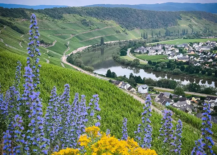 Casa de Férias Garden Eden & Sauna Neumagen-Dhron