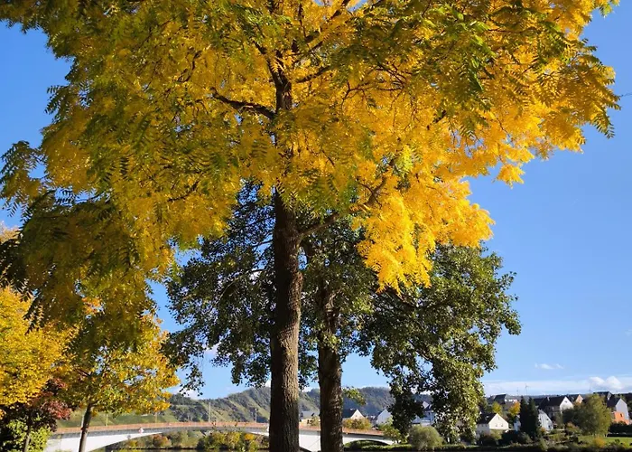 Casa de Férias Garden Eden & Sauna