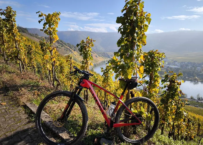 Garden Eden & Sauna Casa de Férias Neumagen-Dhron