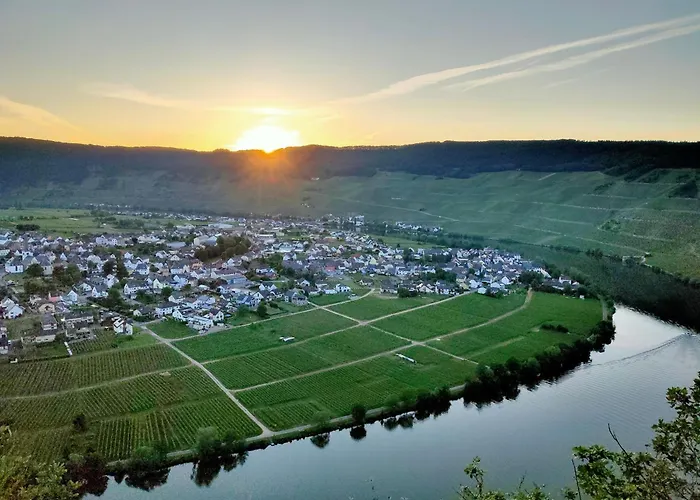 Garden Eden Neumagen-Dhron