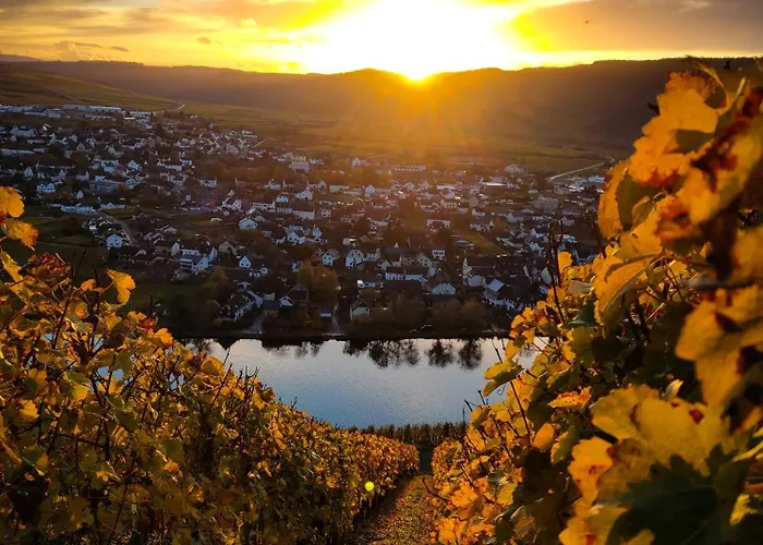 Garden Eden Hébergement de vacances